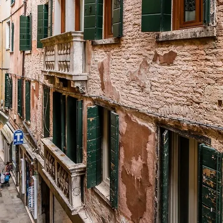 San Marco Joy By Lionhost